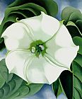 Jimson Weed 1932
